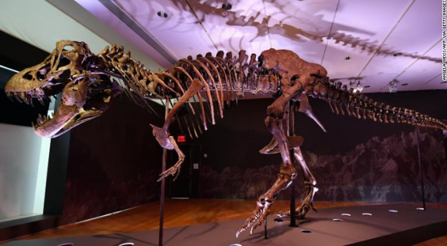 На Christie’s продан скелет тираннозавра за рекордные $31,8 миллиона