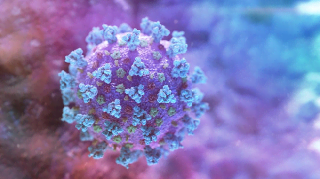 Ученые обнаружили два новых штамма коронавируса
