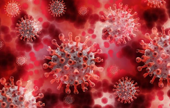 В Дании обнаружили новую мутацию коронавируса